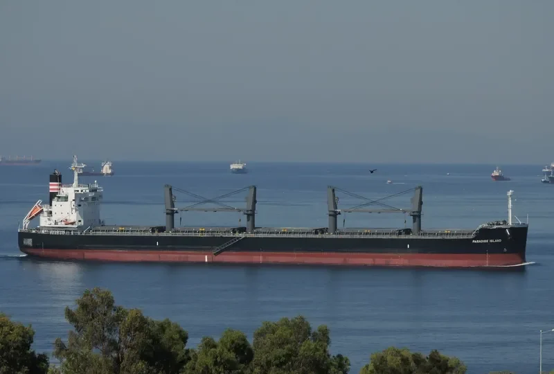 PARADISE ISLAND Bulk Carrier IMO 9623764 photo 6