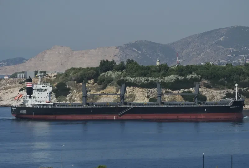 PARADISE ISLAND Bulk Carrier IMO 9623764 photo 7