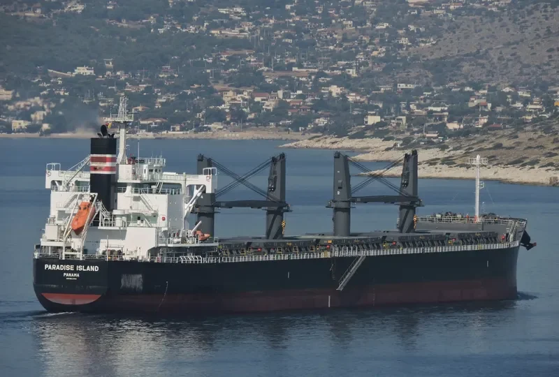 PARADISE ISLAND Bulk Carrier IMO 9623764 photo 8