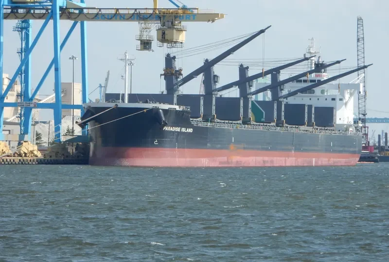 PARADISE ISLAND Bulk Carrier IMO 9623764 photo 9
