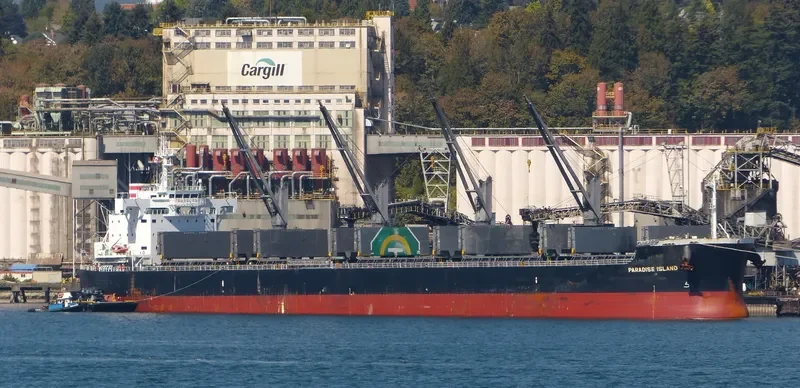 PARADISE ISLAND Bulk Carrier IMO 9623764 photo 10