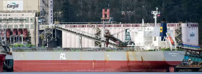 MISTRAL Bulk Carrier IMO 9623817 photo 2