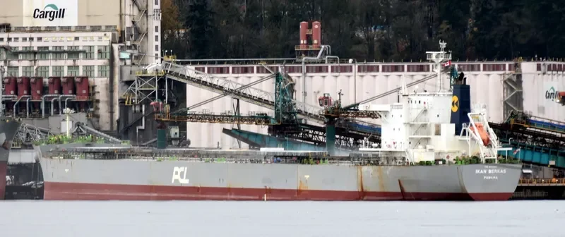 MISTRAL Bulk Carrier IMO 9623817 photo 3