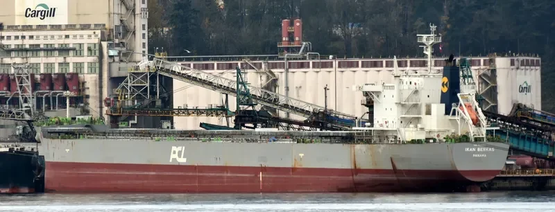 MISTRAL Bulk Carrier IMO 9623817 photo 4
