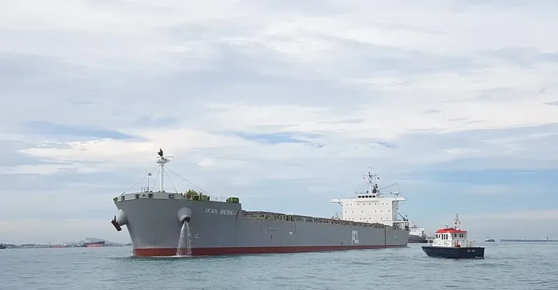 MISTRAL Bulk Carrier IMO 9623817 photo 9