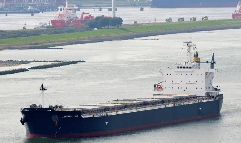 LEMESSOS LION Bulk Carrier IMO 9623829