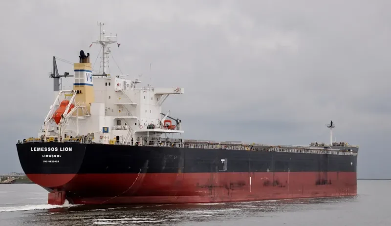 LEMESSOS LION Bulk Carrier IMO 9623829 photo 3