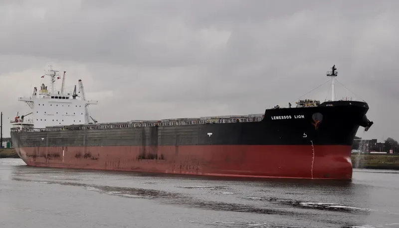 LEMESSOS LION Bulk Carrier IMO 9623829 photo 4