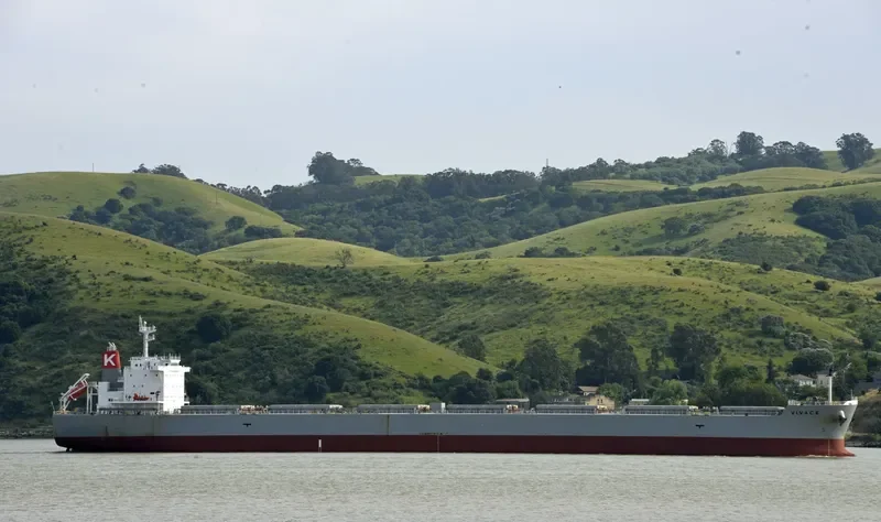 LEMESSOS LION Bulk Carrier IMO 9623829 photo 7
