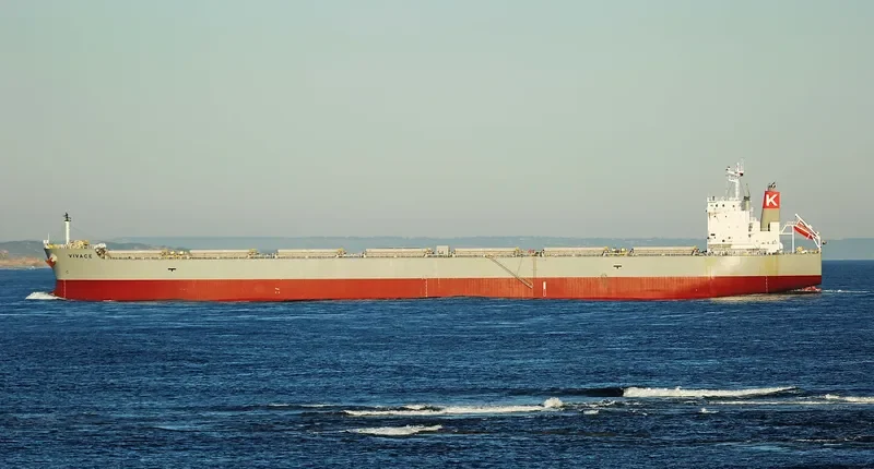 LEMESSOS LION Bulk Carrier IMO 9623829 photo 8