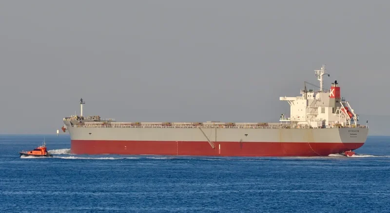 LEMESSOS LION Bulk Carrier IMO 9623829 photo 9