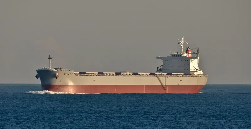 LEMESSOS LION Bulk Carrier IMO 9623829 photo 10