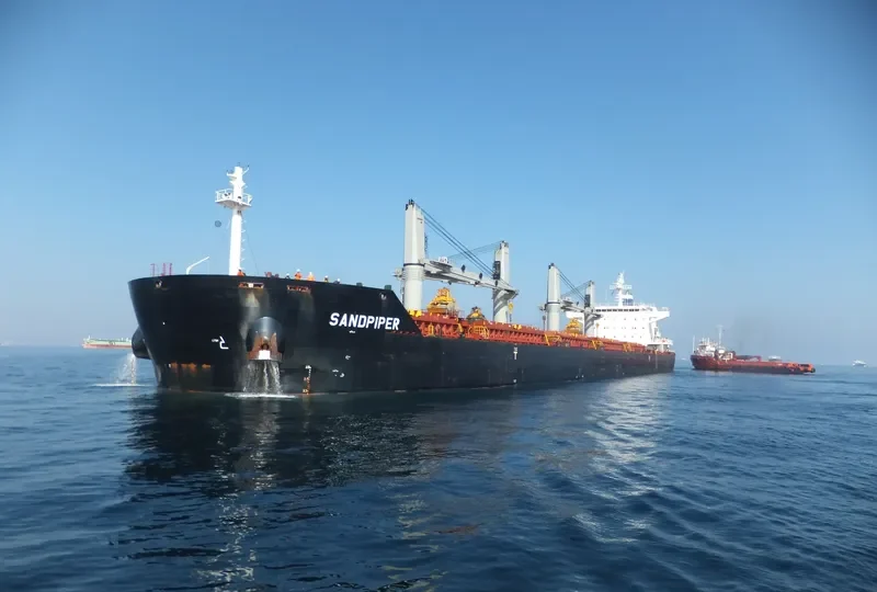 SANDPIPER Bulk Carrier IMO 9623831