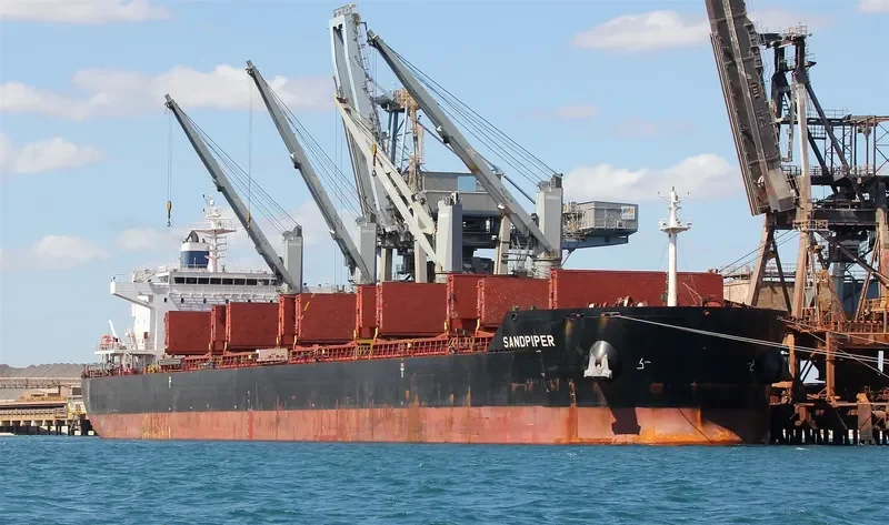 SANDPIPER Bulk Carrier IMO 9623831 photo 2