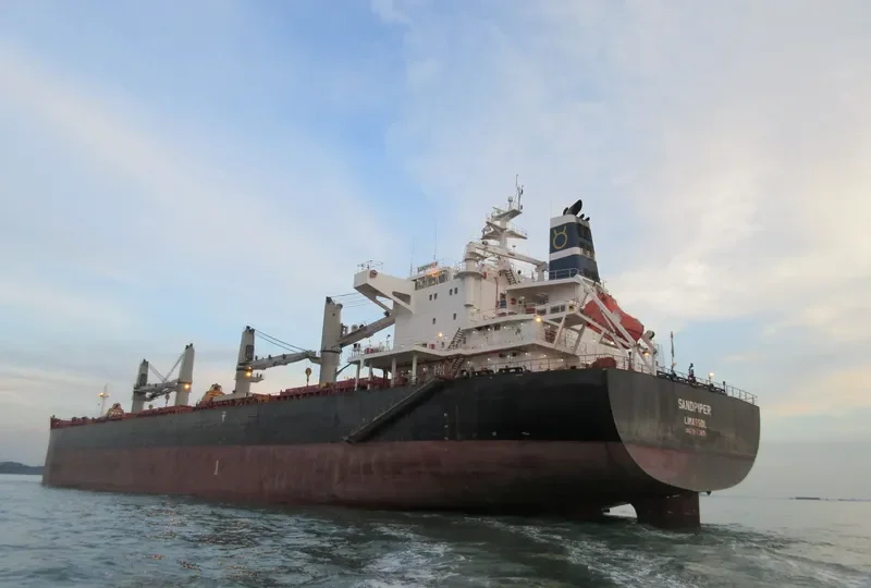 SANDPIPER Bulk Carrier IMO 9623831 photo 3