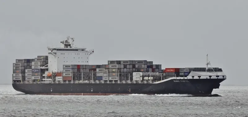 SEAMAX STAMFORD Container Ship IMO 9623855 photo 3