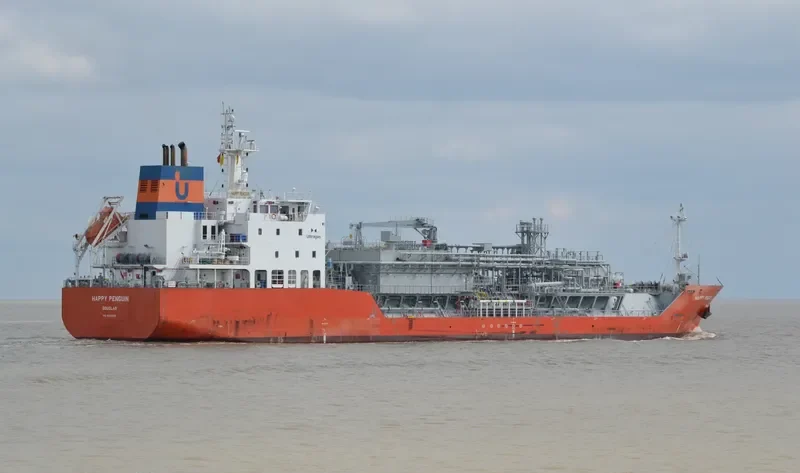 HAPPY PENGUIN General Cargo IMO 9623996 photo 4