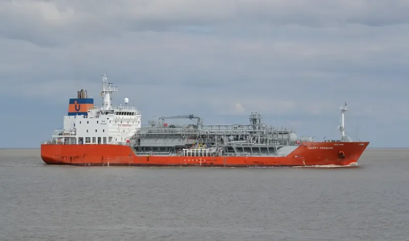HAPPY PENGUIN General Cargo IMO 9623996 photo 5