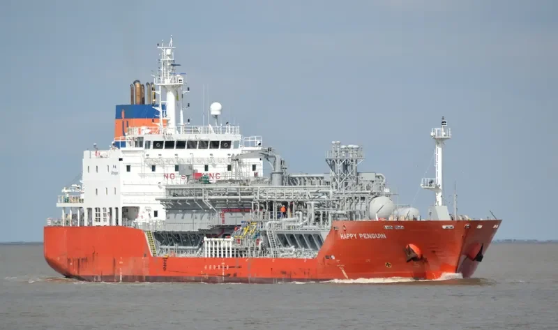 HAPPY PENGUIN General Cargo IMO 9623996 photo 6