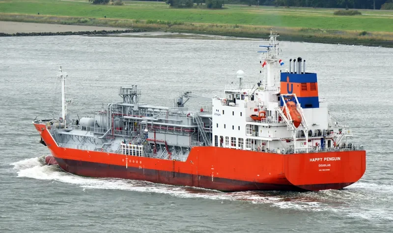 HAPPY PENGUIN General Cargo IMO 9623996 photo 9