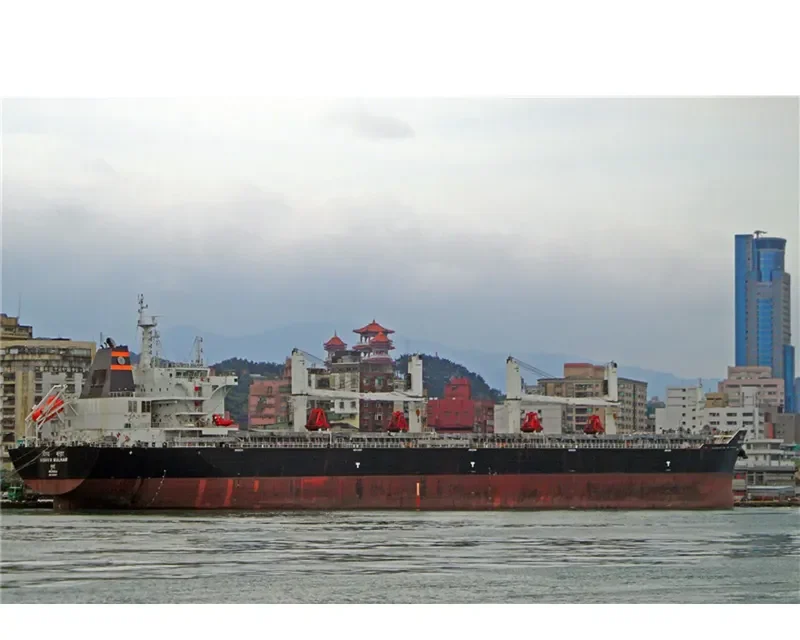 VISHVA MALHAR Bulk Carrier IMO 9624017