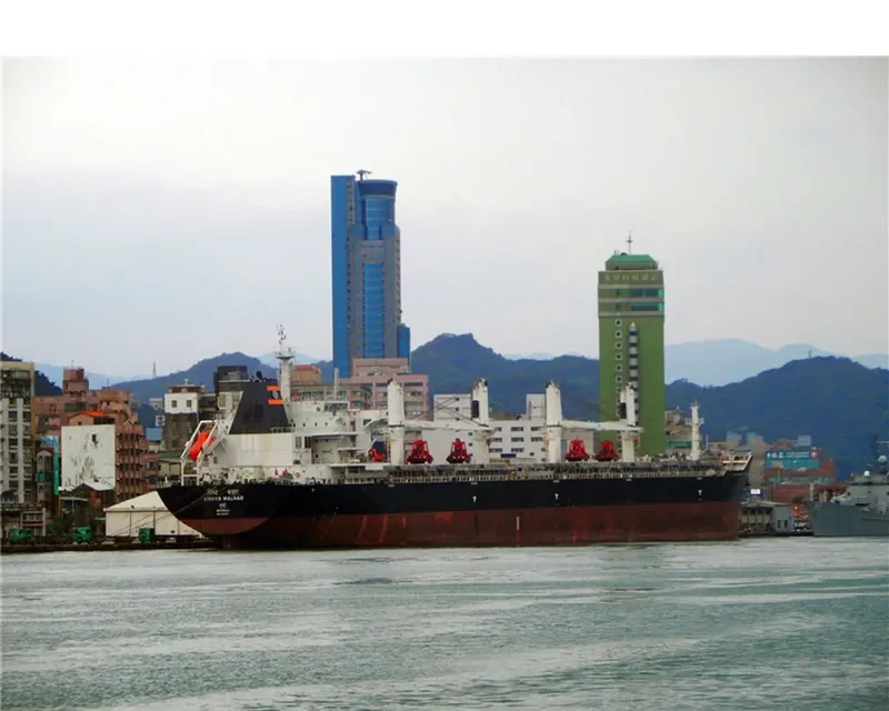 VISHVA MALHAR Bulk Carrier IMO 9624017 photo 2