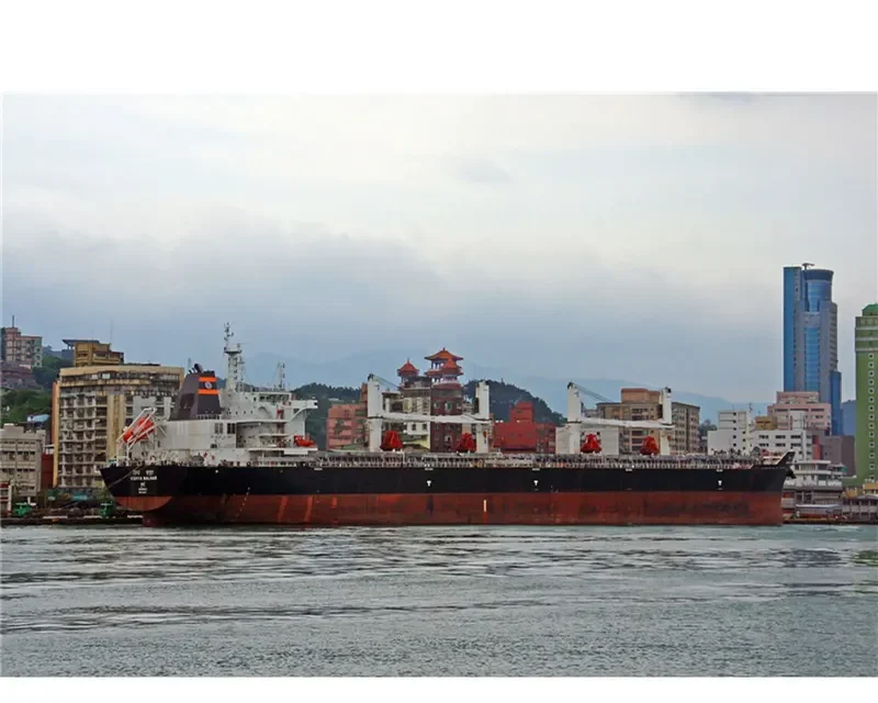 VISHVA MALHAR Bulk Carrier IMO 9624017 photo 4