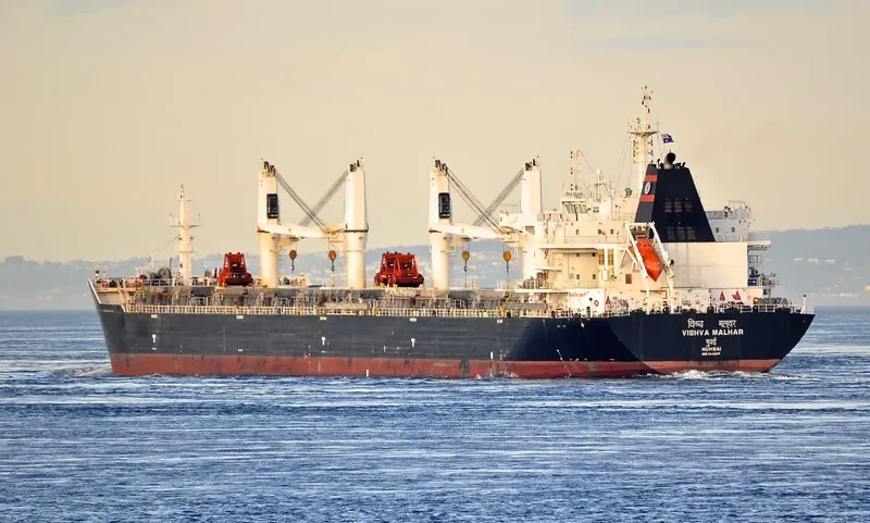 VISHVA MALHAR Bulk Carrier IMO 9624017 photo 6