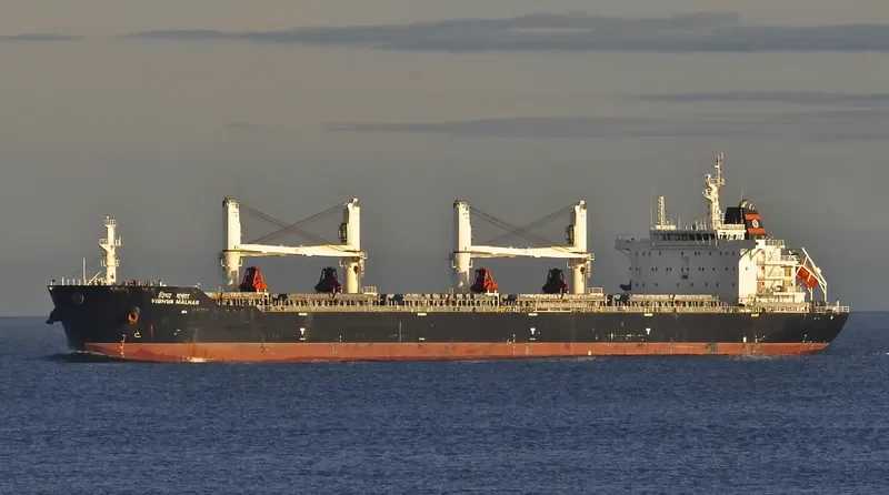 VISHVA MALHAR Bulk Carrier IMO 9624017 photo 7