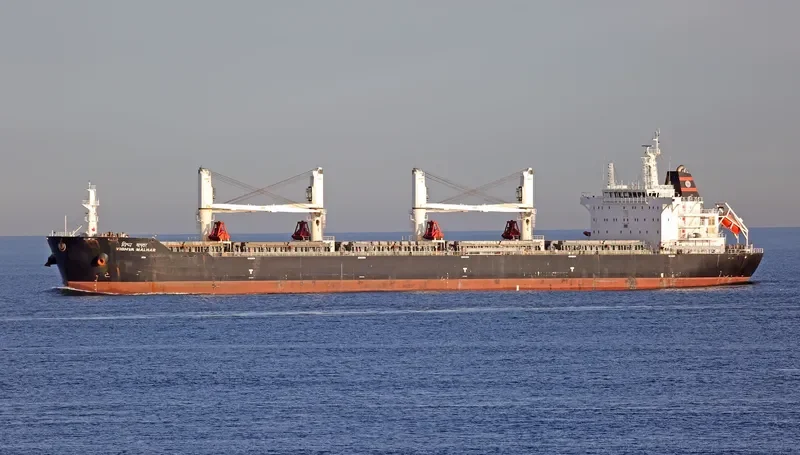 VISHVA MALHAR Bulk Carrier IMO 9624017 photo 8