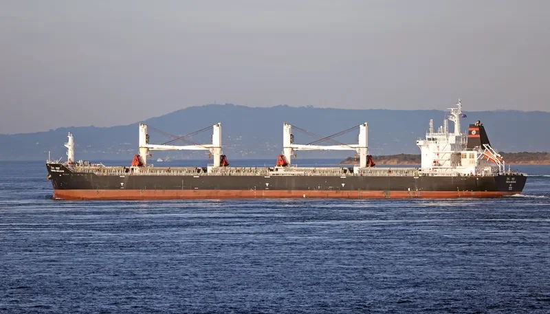 VISHVA MALHAR Bulk Carrier IMO 9624017 photo 9