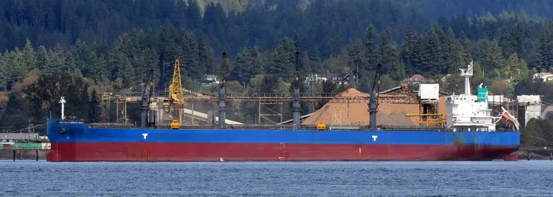 GDF SUEZ NORTH SEA Bulk Carrier IMO 9624031 photo 8
