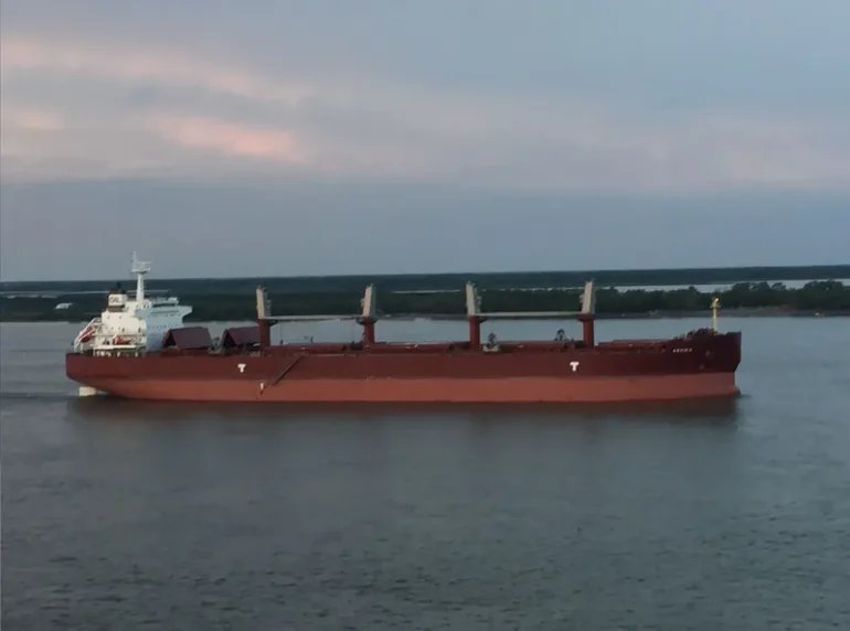 ARVIKA Bulk Carrier IMO 9624043