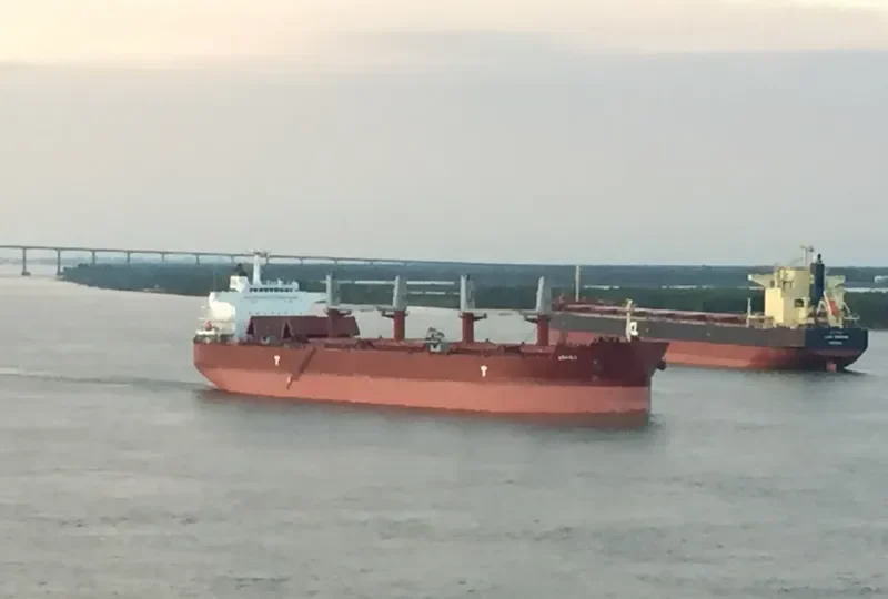 ARVIKA Bulk Carrier IMO 9624043 photo 2