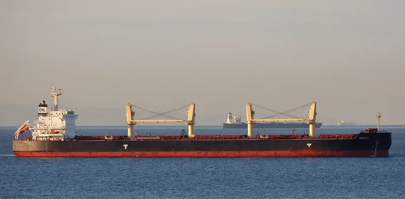 ARVIKA Bulk Carrier IMO 9624043 photo 3