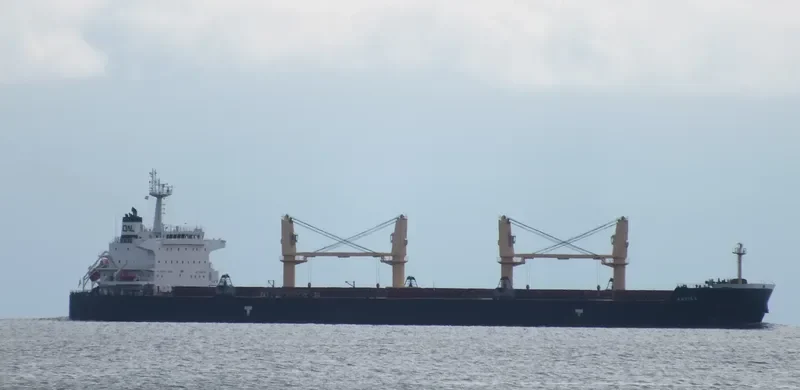 ARVIKA Bulk Carrier IMO 9624043 photo 10