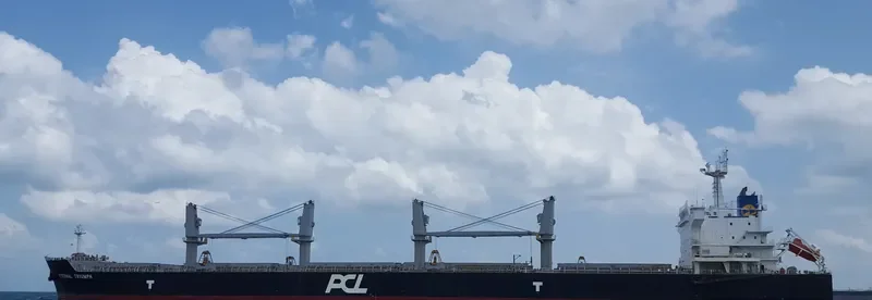 ETERNAL TRIUMPH Bulk Carrier IMO 9624055