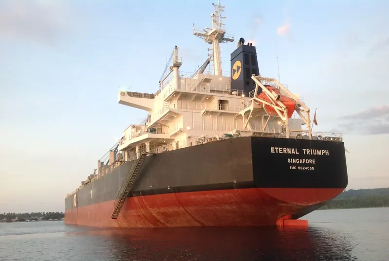 ETERNAL TRIUMPH Bulk Carrier IMO 9624055 photo 2