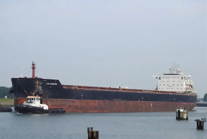 AM HAMBURG Bulk Carrier IMO 9624093
