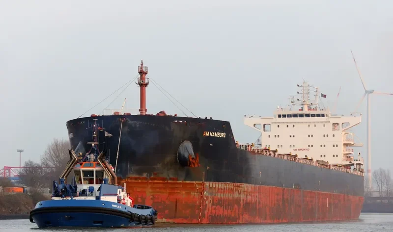 AM HAMBURG Bulk Carrier IMO 9624093 photo 3