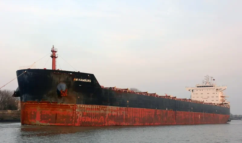 AM HAMBURG Bulk Carrier IMO 9624093 photo 4