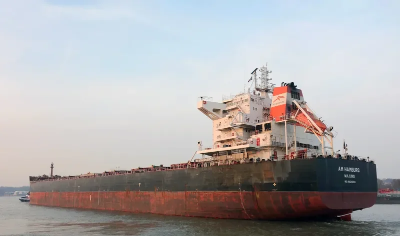 AM HAMBURG Bulk Carrier IMO 9624093 photo 5