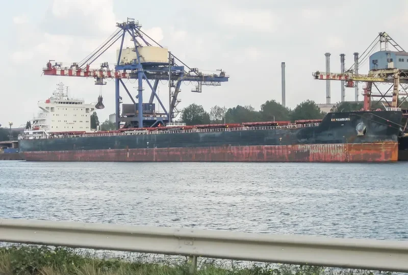 AM HAMBURG Bulk Carrier IMO 9624093 photo 6