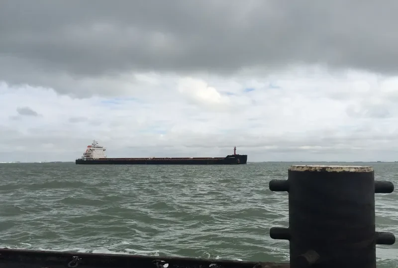 AM HAMBURG Bulk Carrier IMO 9624093 photo 7