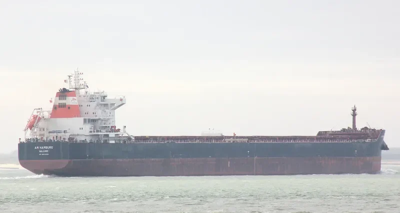 AM HAMBURG Bulk Carrier IMO 9624093 photo 9