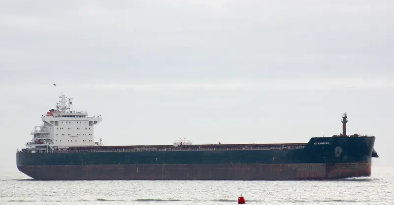 AM HAMBURG Bulk Carrier IMO 9624093 photo 10