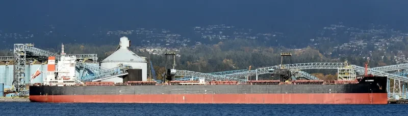AM QUEBEC Bulk Carrier IMO 9624108 photo 2