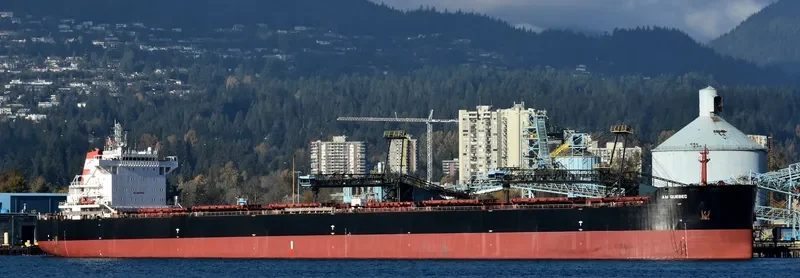 AM QUEBEC Bulk Carrier IMO 9624108 photo 3