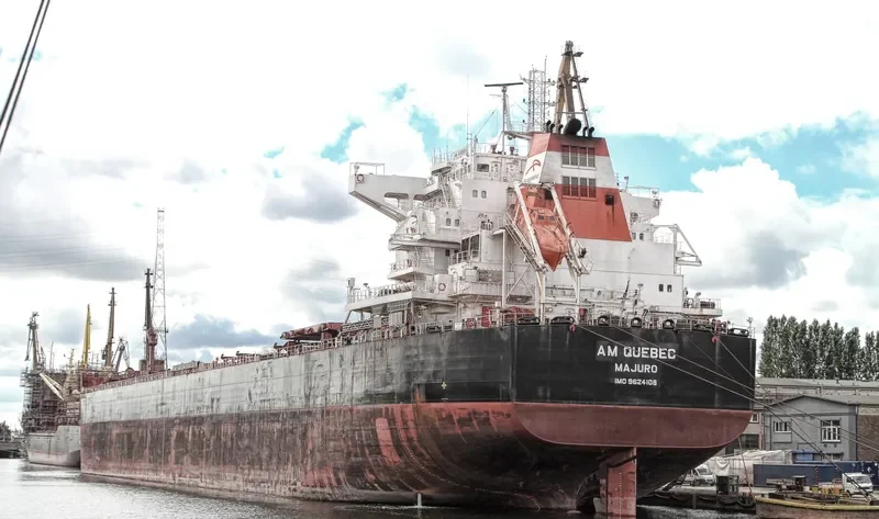 AM QUEBEC Bulk Carrier IMO 9624108 photo 10