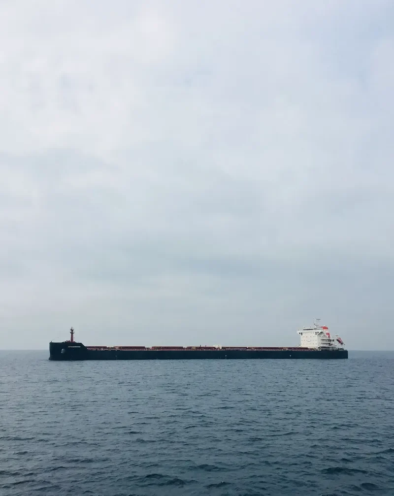 AM BUCHANAN Bulk Carrier IMO 9624110